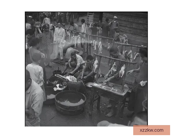 加藤视频：窥探一个时代的缩影，品味别样的艺术之美